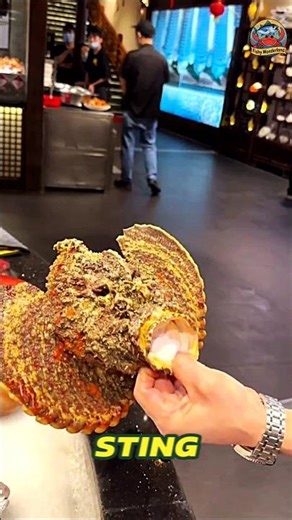 This Fish Can Kill You in Seconds 💀 🐠 | The Deadly Stonefish! #rockfish #stonefish #monsterfish