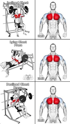 Best Chest Press Variations for Chest Growth