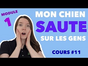 Module 1: 11-Mon chien saute sur les gens | EDUCATION CANINE GRATUITE AVEC CHRISTINA POTVIN