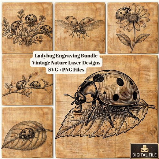 Ladybug SVG Bundle, Vintage Ladybug Engraving, Nature Insect Laser Cut Files, Botanical Ladybug Design, CNC Wood Engraving, Svg PNG Files - Etsy