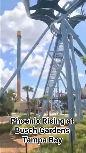 Phoenix Rising at Busch Gardens Tampa Bay (full POV on channel)