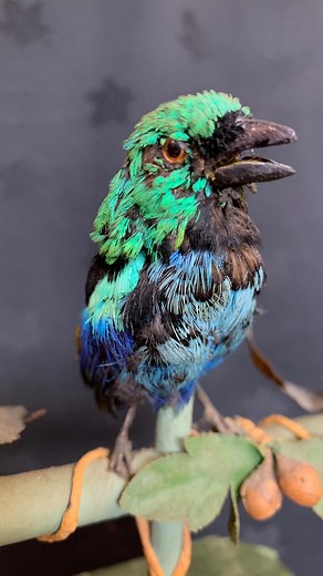 The House of Automata | Singing Bird mechanism, c.1875. Stamped Phalibois Paris. The triple chambered bellows pumps air at constant pressure through the piston... | Instagram