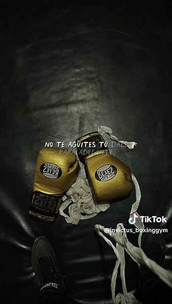 Entrena Fuerte en INVICTUS Boxing Gym Querétaro
