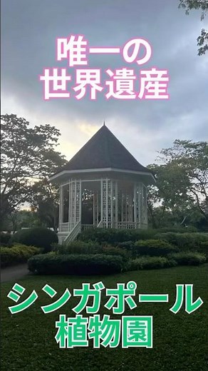 唯一の世界遺産 シンガポール植物園 シンガポール 絶景 インスタ映え シンガポール旅行