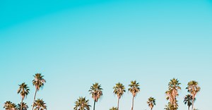 My PYP Exhibition Learning Journal