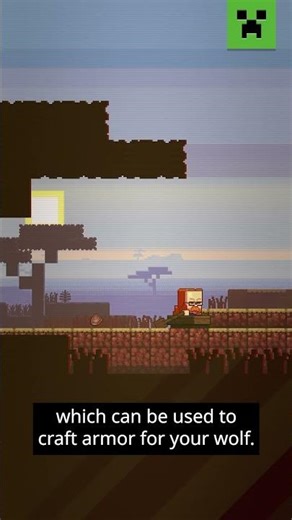 ARE YOU VOTING FOR THE ARMADILLO? - YouTube