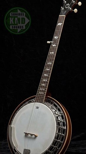 SONIDO DE BANJO – SONIDOS DE INSTRUMENTOS MUSICALES – efectos de sonido