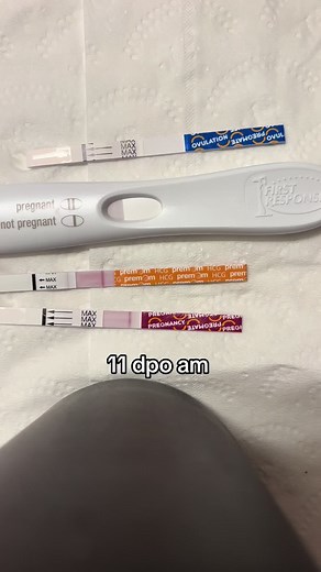 I’m scared my lines aren’t progressing much 😢 #ttc #ttccommunity #pregnancy #fertilityawareness #ttcafterloss #pregnancytest #pregnant #3weekspregnant