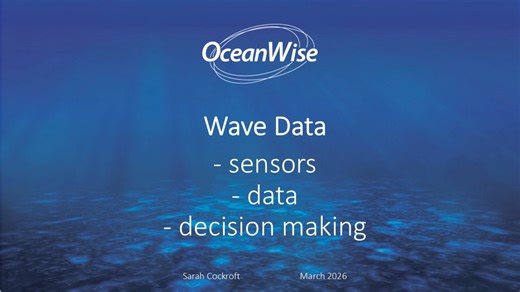 Wave Data Presentation