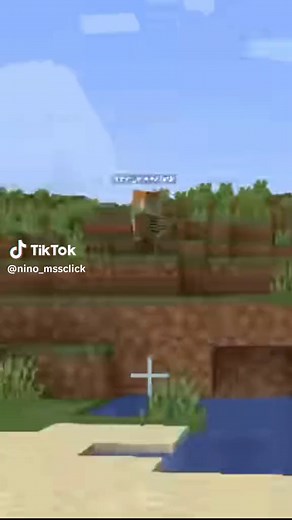 Aladdin sur Minecraft 😆 #minecraft #ninomssclick #fypシ #fyp #foryou #foryoupage #pourtoi