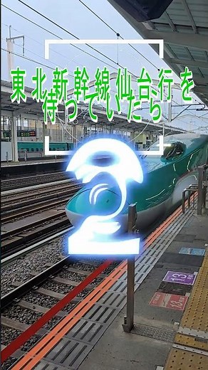 [Shinkansen] The Tohoku Shinkansen pass through at 275 km/h. #Shinkansen #OyamaStation #railway