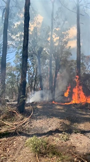 Lucky we found this .