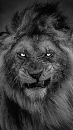 error 404 in mind 🫣 on Instagram: "𝗪𝗮𝗶𝘁 𝗳𝗼𝗿 𝗲𝗻𝗱.........#🇯🇵 日本では、人々の足跡が電気に変わる！⚡ 圧電タイルを使って、一歩ごとに小さなエネルギーを生み出します。 何百万人もの人々の歩みが集まると、渋谷駅のような場所でLEDライトやディスプレイを動かすことができます。 動きをクリーンで再生可能なエネルギーに変える——持続可能でスマートな都市づくりの素晴らしいアイデアです🌱💡 #日本のイノベーション #圧電 #未来技術 #グリーンエネルギー #再生可能エネルギー #クリーンエネルギー #持続可能な未来 #スマートシティ #テクノロジーの力 #エコ技術 #都市エネルギー #東京ライフ #渋谷駅 #イノベーション #モダンジャパン #エコフレンドリー #スマートテクノロジー #エネルギー革命 #テックニュース #サステナブルライフ#🇯🇵 日本では、人々の足跡が電気に変わる！⚡ 圧電タイルを使って、一歩ごとに小さなエネルギーを生み出します。 何百万人もの人々の歩みが集まると、渋谷駅のような場所でLED