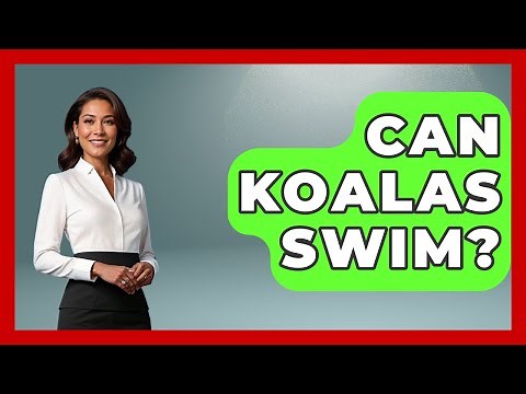 Can Koalas Swim? - The Wild Life Explorer