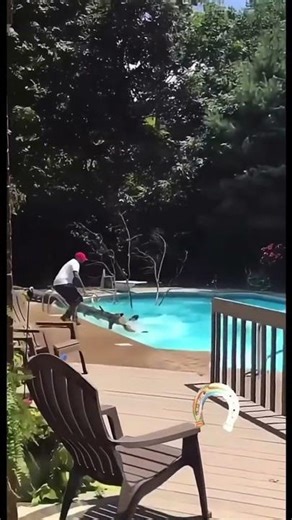 This dangerous cut would end his life.