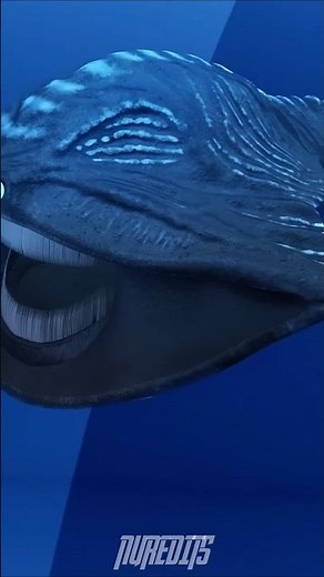 Is the Bloop a Monster Shark? Ocean’s Biggest Secret Explained