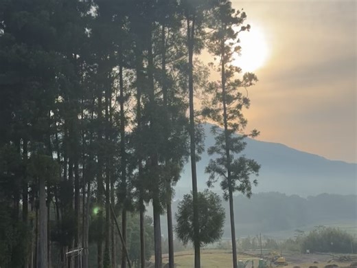 MĀLAMA Art & Design | Roxy on Instagram: "+ 阿蘇での日々・宿泊編 【古民家ゲストハウス野わけ】 初めての熊本、初めての阿蘇でお世話になりましたのは、素敵なご夫婦が営む古民家ゲストハウス。 南阿蘇村に位置しております。 熊本市内(都会)での仕事を終え、作品を郵便局へ持ち込み(6箱)、スーパーへ寄り、展望所でご褒美の夕焼けを見て、宿に到着したのが19:30過ぎ 古民家すぎて入口が分からなかった笑 ガラガラと150cmほどの高さの木の扉を開け、屈んで入ると綺麗にしつらえられた空間が広がる。 おしゃれなのに落ち着く 懐かしい空間。 優しいご主人に受付をしてもらい、宿の中を簡単に案内してもらい、部屋へ。 私の部屋は2階のツインルーム。 着いた時は既に日没後だったので周りの景色は見えなかったが、翌朝6時に起きて部屋の窓を開けたら雲海が広がっていた✨ 木の影になっているけど阿蘇独特の形の山々も見え、朝から幸福度MAX！！ 鳥の声 沢の音 澄んだ空気 目の前に広がる緑と霧の景色 草花の香り 五感がフル稼働 目で耳で鼻で肌で感じる阿蘇の自然 五臓六腑に染み渡