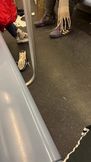 Part 2 #bronxshenanigans #2train #trappdulazz #aunty #mta #crackhea #dirty