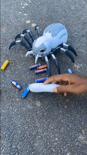 Remote control spider toy.