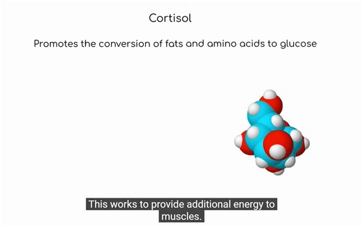 应激反应 Pathophysiology：Stress Response