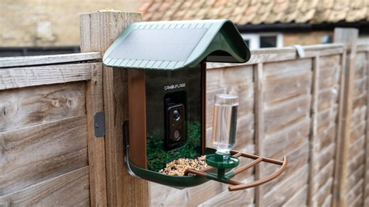 This budget bird feeder camera by Camouflage is a great starting point for identifying your garden birdlife
