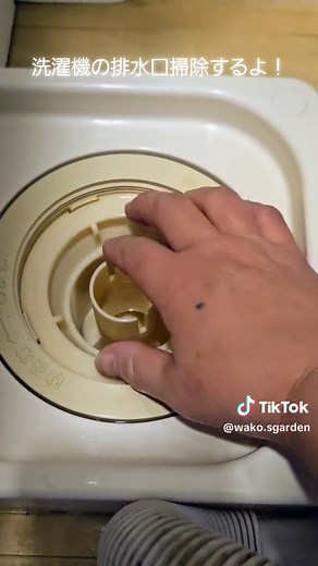 洗濯機排水口掃除のやり方｜分解・洗剤・パイプクリーナーで簡単