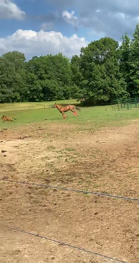 Would one call this ‘play date’? 🧐 #FLUCY #summerloveisintheair