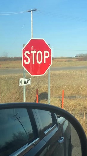 Todd Sheppard on TikTok