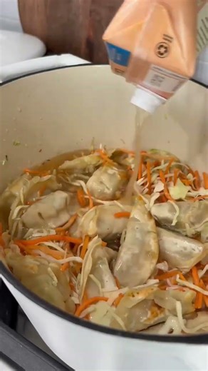 Potsticker Soup