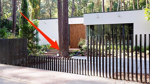 4.8M views · 6.1K reactions | This disappearing gate makes your house feel like a secret base. | Insider Tech | Facebook