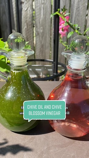 How to make chive oil and chive blossom vinegar! A match made in heaven 😍 perfect to use in any dish really, and you can also make an amazing chive blossom vinaigrette! For the chive blossom vinegar, use as many blossoms as you can. Some like to fill the entire jar, I wanted to save some of mine so I used about a cup of blossoms for the pint jar. Same with the chive oil. I eyeballed it, but used maybe 1-2 cups of chives and about 2 cups of olive oil. Super easy to play around with! Let me know 