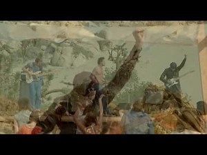 Audioslave - Show Me How To Live | IMVDb