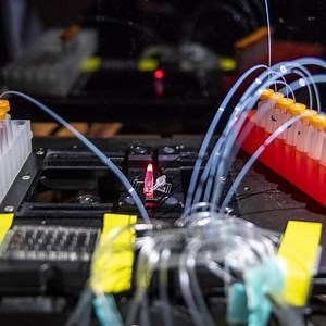 New, Non-toxic Technique to Synthesize DNA | Genetics And Genomics