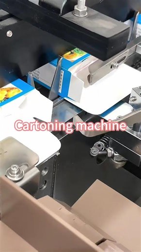 Automatic Cartoning Machine | High Efficiency Carton Packing Machine
