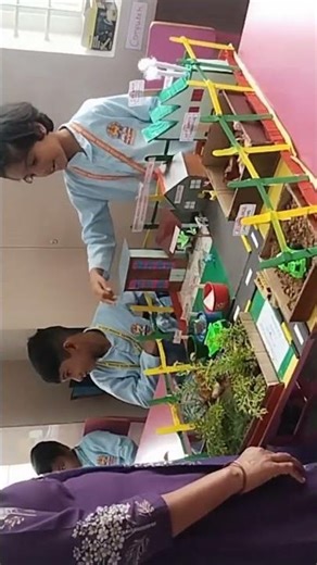 waste segregation at home presentation done by kid..