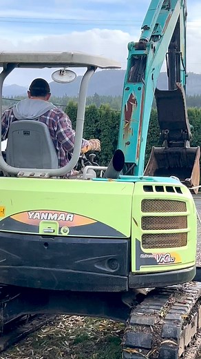 Taking out another big maple tree | Mike Michael