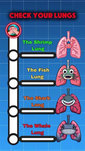 Check Your Lung Health: A Fun Challenge!