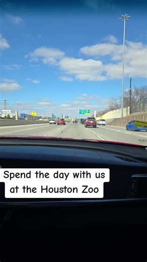 A Fun-Filled Day at the Houston Zoo with Family