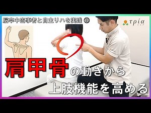 【当事者と自主リハを実践】⑱麻痺側上肢の動きを肩甲骨の前方突出から考える 肩甲骨の動きと上肢との連動性