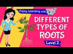 Roots of Plants | Parts of a Plant | Tutway