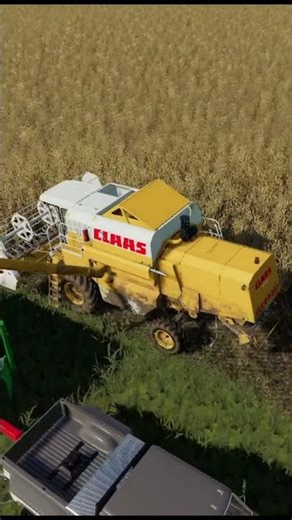 Class Dominator and Ford 350 #fs19 #nuevoshorizontes #farming