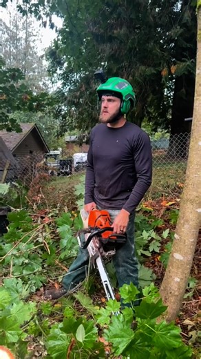 3.8M views · 18K reactions | #precisiontreefelling | Guilty of Treeson | Facebook