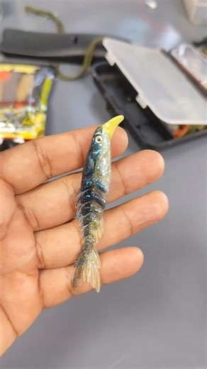 25K views · 136 reactions | Softlure setup made easy. Hook placement is everything. Get it right — watch the fish strike  #anglerlife #lurefishing #fishingtipsdaily #fishinglife #catchmorefish #fishingworld #tightlines #softbait #fishermancommunity | IJG Fishing 72 | Facebook