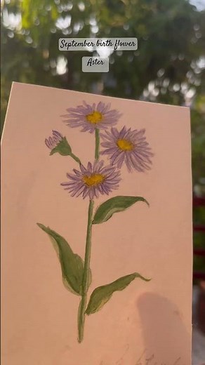 September’s birth flower, the Aster, a symbol of love and wisdom blooming bright. 🌸✨#aster
