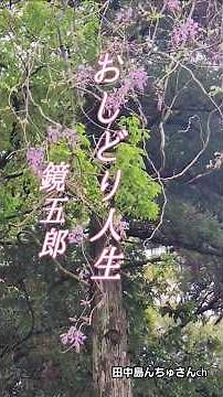 ♪︎おしどり人生,,鏡 五郎 #ショート #昭和歌謡