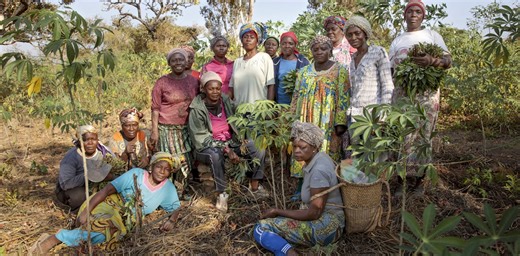 33 million women grow food on plots in sub-Saharan Africa. Greener farming can boost their earnings – study