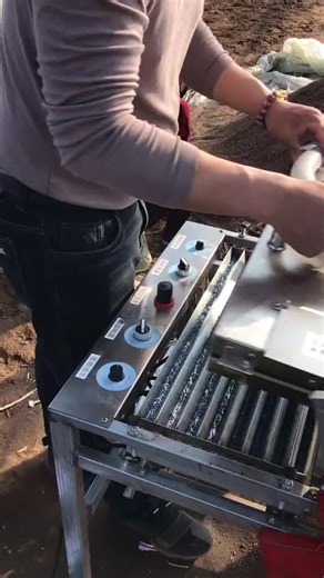 Semi-Automatic vegetable seeder seed sowing machine line for seedling tray#seeding