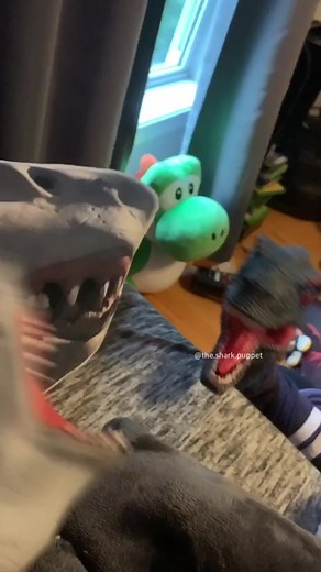 BAD RAPTOR!!!!! #foryou #foryoupage #sharkpuppet | shark puppet