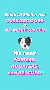 41 reactions · 68 shares | SOUTH LA SHELTER IS OUT OF SPACE! This...