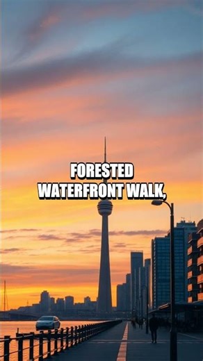 Daylight Compass: One Day Across USA England Canada